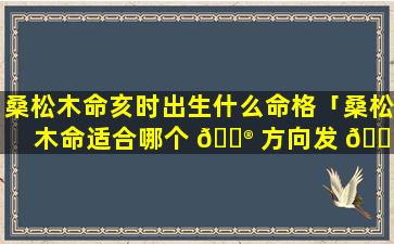 桑松木命亥时出生什么命格「桑松木命适合哪个 💮 方向发 🌵 展」